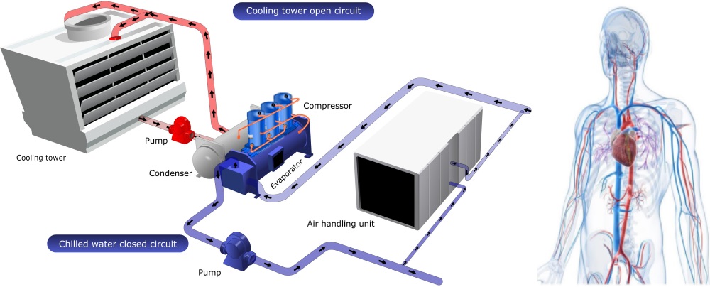 V-Sensing Lab